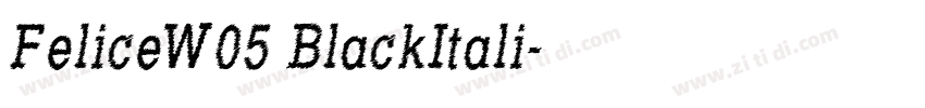 FeliceW05 BlackItali字体转换